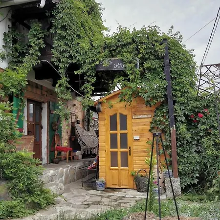 Casuta Holiday home Gura Humorului