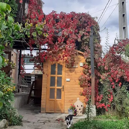 Casuta Holiday home Gura Humorului