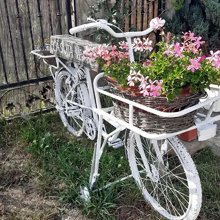 Holiday home Casuta Gura Humorului